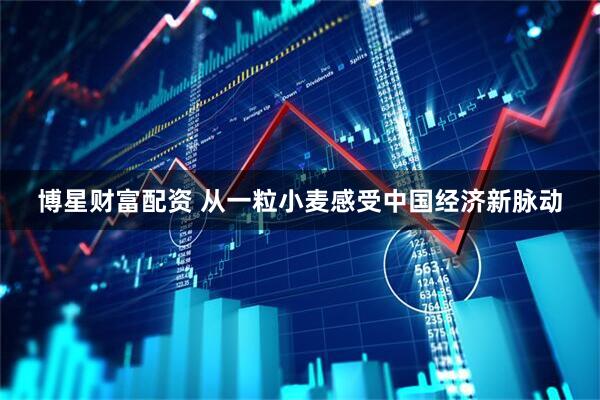博星财富配资 从一粒小麦感受中国经济新脉动