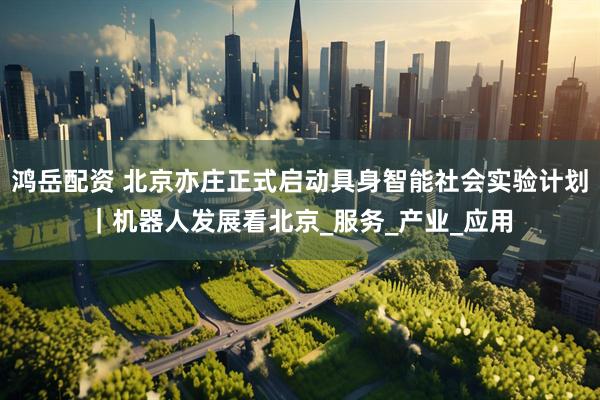 鸿岳配资 北京亦庄正式启动具身智能社会实验计划｜机器人发展看北京_服务_产业_应用